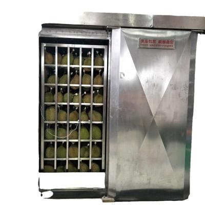 China food & Beverage Factory Liquid Nitrogen Cryo Freezer Machine For Sale Mobile Freezer for sale