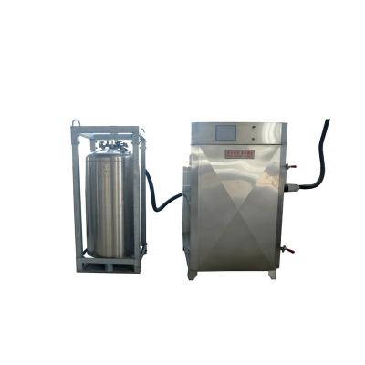 China Sea Cucumber Shock Freezer Small Blast Refrigerator Liquid Nitrogen Freezer For Sea Cucumber for sale