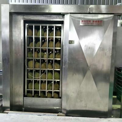 China Quick Freeze Frozen Food Machine for Frozen Durian for sale