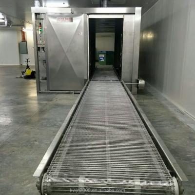 China Frozen Food Machine Industrial Blast Refrigerator for sale