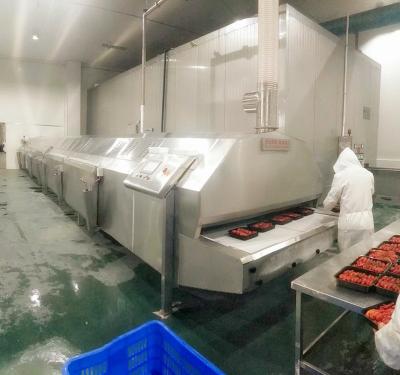 China instant frozen food freezer, liquid nitrogen tunnel freezer for sale