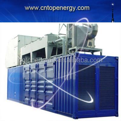 China 250kw Natural Gas / Water Cooled Biogas / Biomass Electric Power Gas Generator With Grid Parallel System HRDA280B for sale