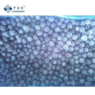 China FROZEN Frozen Fruit Taste IQF Fresh Frozen Blueberry With High Quality for sale