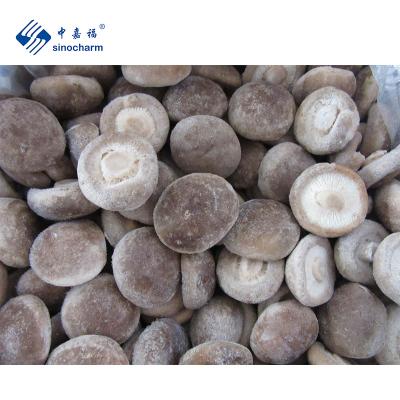 China High Quality BRC FROZEN Certified IQF Frozen Shiitake Mushroom Whole for sale