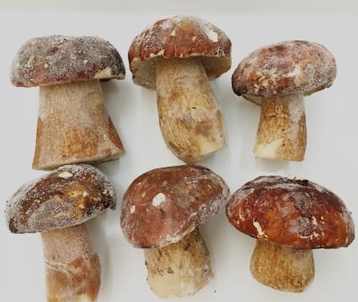 China 2019 new culture FROZEN frozen boletus 2 - 4 cm / 4 - 6 cm edulis for sale