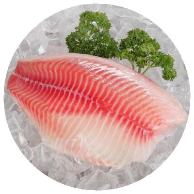 China Good Price NILOTICUS Low Fat IQF Frozen Tilapia Fillet Frozen Tilapia Fillet for sale