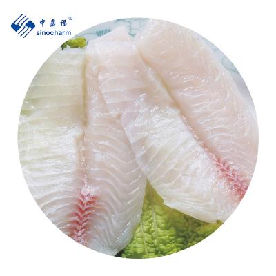 China Seafood Fish HACCP Niloticus Super Deep Peeled Tilapia Fillets Low Fat Frozen Black Tilapia Fillets PBO for sale