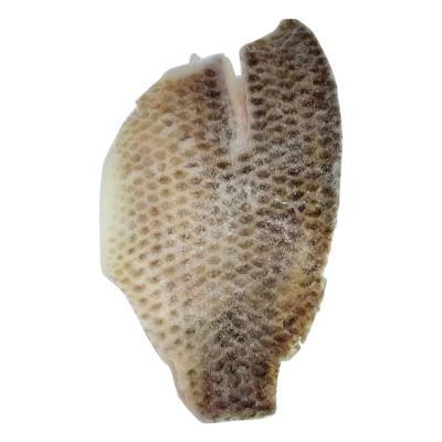 China HACCP Niloticus Low Fat Tilapia Bandages Frozen Fish Seafood Tilapia Fillet Peeled On Frozen Tilapia Fillets for sale