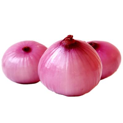 China 2020 harvest fresh European standard red onion yellow onion peeled onions fresh food for sale