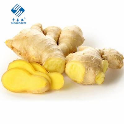 China China Fresh Fresh Vegetables Washed Ginger Fresh Ginger for sale