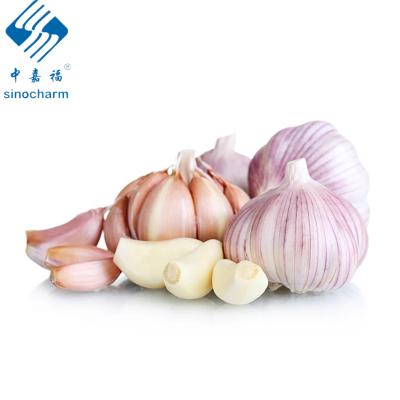 China 2020 New Culture Fresh Delicious Fresh Garlic White Peeled Super Garlic for sale