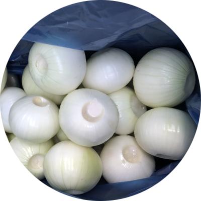 China Top grade fresh 2020 new crop 20 kg bundle diameter > 6 cm peeled fresh yellow onion for sale for sale