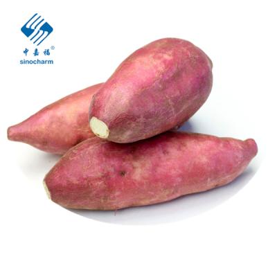 China 2021 fresh new cultivation fresh vegetable high quality fresh sweet potato for sale