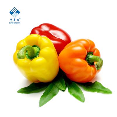 China Fresh Hot Sale Color Sweet Pepper Yellow / Fresh Red / Green for sale