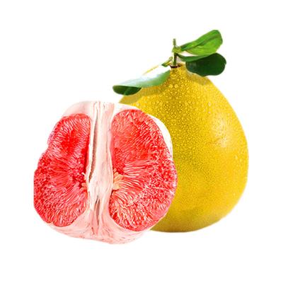 China New crop honey good quality fresh red grapefruit for sale