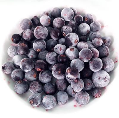 China FROZEN Fruit IQF Frozen Blackcurrant for sale