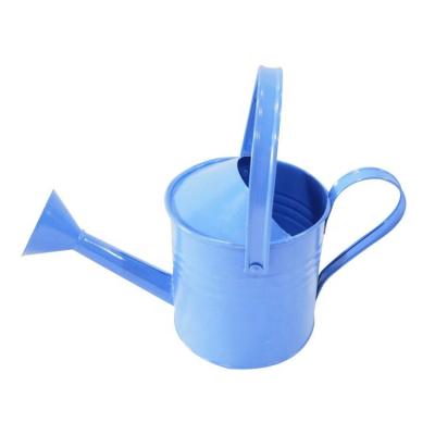 China 10L Eco-friendly mini green custom large blue watering cans garden metal watering can for sale for sale