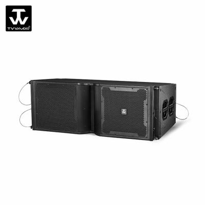 China NO Dual Line Array 12 inch Speaker for sale