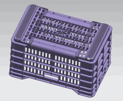 China De plantaardige van de de Vorm Autodaling van de Krat Plastic Injectie Koude Agent P20/718/H13/NAK80 Te koop