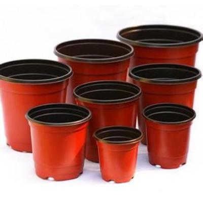 China Small Flowerpot Plastic Injection Mould Household With Mould Running 0.5-1M for sale