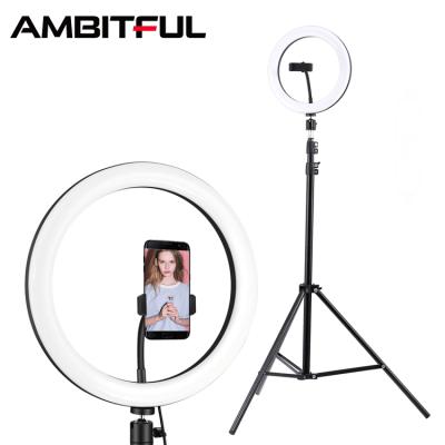 China Customized 10 inch portable dimmable foldable cell phone mini live selfie led adjustable ring light with tripod stand for sale