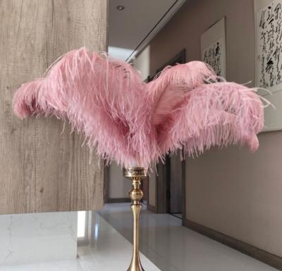 China White Feather 5-24inches Plush Ostrich Feather For Wedding Party Supply Wedding Centerpiece for sale