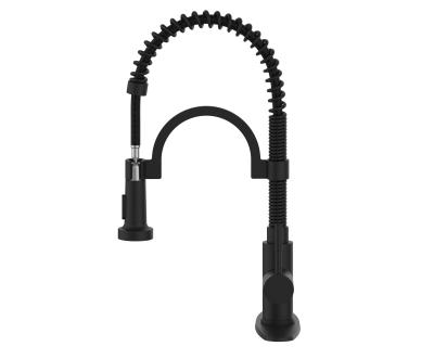 China Modern Kitchen Faucet With Pull Down Sprayer , Commercial Single Handle Black Kitchen Sink Faucet for sale