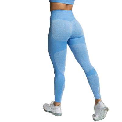 China Breathable Plus Size High Waisted Sporty Workout Women Yoga Gaiters Peach Hip Running Yoga Cropped Pants for sale