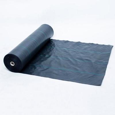 China CLASSIC Black PP Woven Weed Barrier Prevention Fabric Fabric for sale