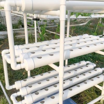 China Popular Farms Nft Indoor Hydroponic Grow System 108 Holes for sale