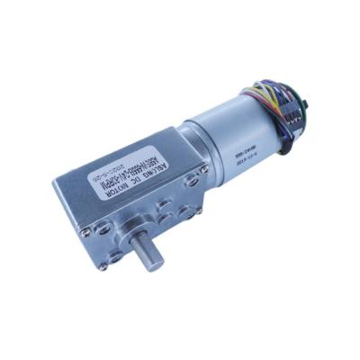 China A58SW-555B High Torque Shaft Hall Sensor Encoder Worm Low RPM 16-470RPM 12V-24V DC Totally Enclosed Self-lock Geared Motor For Curtain Machine for sale