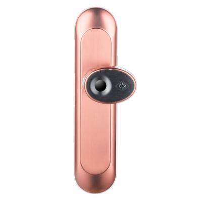 China Hot Sale S200-178 Smart Security Lock Security Electronic Biometric Fingerprint Zinc Alloy Smart Door Lock for sale