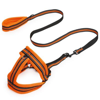 China Highly Strong Nylon Dog Leash Portable Comfortable Padded Handle With 120cm Rope S/M/L for sale