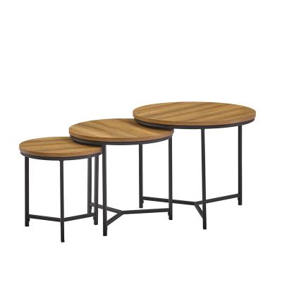 China Factory Adjustable Porcelain Metal Wood Top (Height) Legs Three Pieces A Small Set Coffee Table for sale