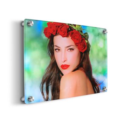 China Durable Long HD Plexiglass Photo Printing Custom Wall Art UV Acrylic Prints for sale