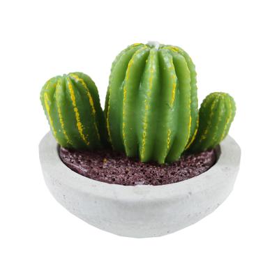 China Scented Making Aromatherapy Scented Plant Shape Succulent Candles for sale