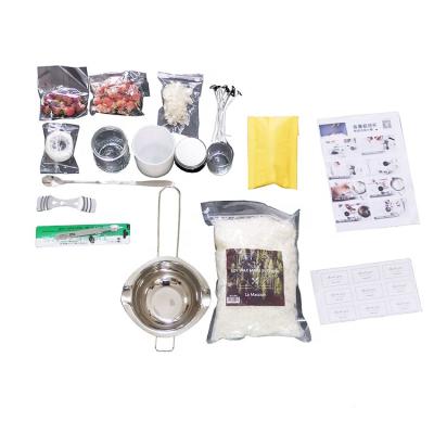 China DIY Gift Kits Scented Custom Logo Porcelain Soy Candle Making Kit For Adults for sale