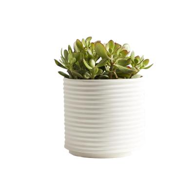 China Planter With Nordic Minimal Design Ribbed Shape White Flower Pots Ceramic Ribbed Planter Pot For Indoor Decor for sale