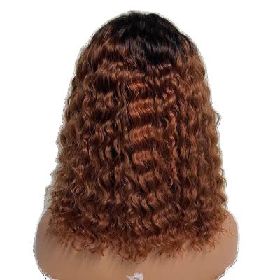 China Hot Selling High Quality Spring Curl Full Lace Human Hair Wigs Real African Deep Curly Curly Human Hair Wigs For Women for sale