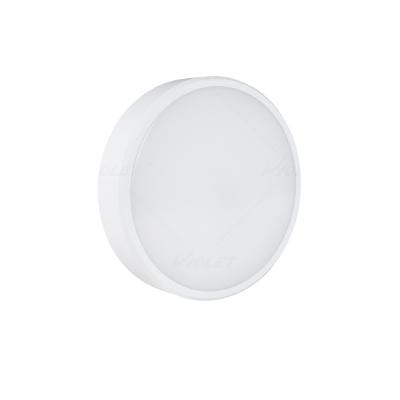 China IP66 IK10 modern waterproof ceiling light best choice for hallway lighting with sensor for sale