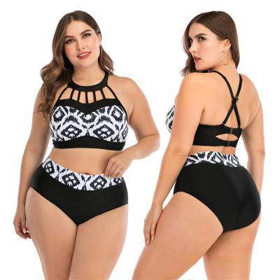 China Custom Made Women Swimsuit Tops Breathable Wholesale Plus Size Swimwear Swimwear and Size Beachwear for sale