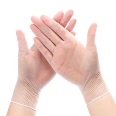 China Cheap Clean Disposable Gloves Transparent Powder Free Catering Food Vinyl Gloves for sale