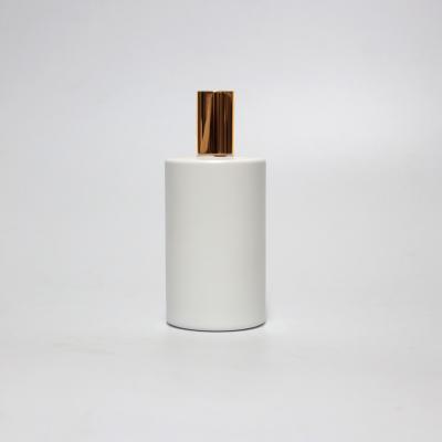 China New white empty personal care matte room mist electroplating bottle with pump cap for sale