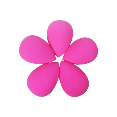 China Washable Hot Pink Makeup Sponge Vegan And Cruelty Free Dark Pink Makeup Blast With Cuter Make Up Beauty Sponge Packaging for sale