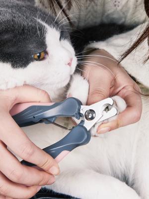 China PAKEWAY Viable Professional Pet Nail Clipper Pet Nail Trimmer Pet Grooming Tool for sale