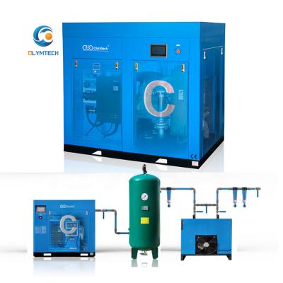 China Lubricated Permanent Magnetic Rotary Screw Air Compressor for sale