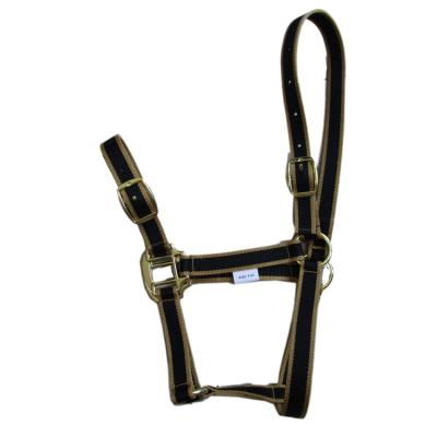 China Horse Tough Adjustable Nylon Halter Nylon Halter for sale