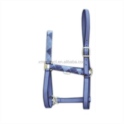 China Wholesale high quality pp strap horse tack products horse halters headpieces for sale