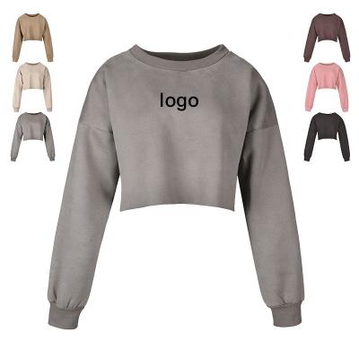 China anti-wrinkle 2022 whole crop top hoodie set sale women ladies crop top hoodie for sale