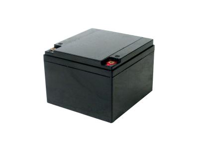 Cina AGM 12V 24h Vrla Valve Regulated Lead Acid Battery Nessuna perdita d'aria in vendita